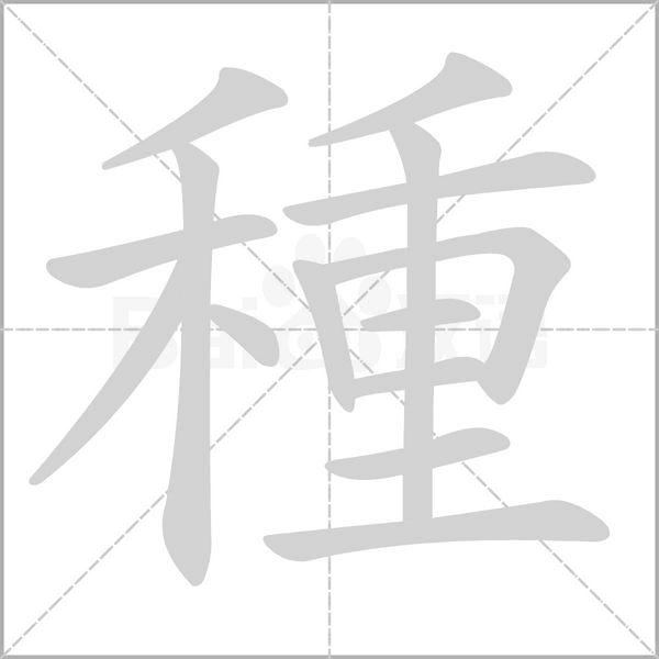 種的筆順動(dòng)畫演示