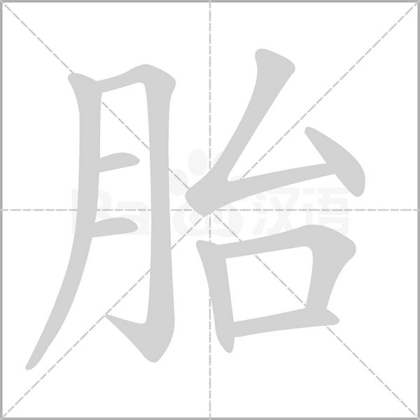 胎的筆順動(dòng)畫演示