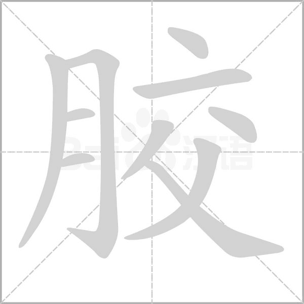 膠的筆順動畫演示