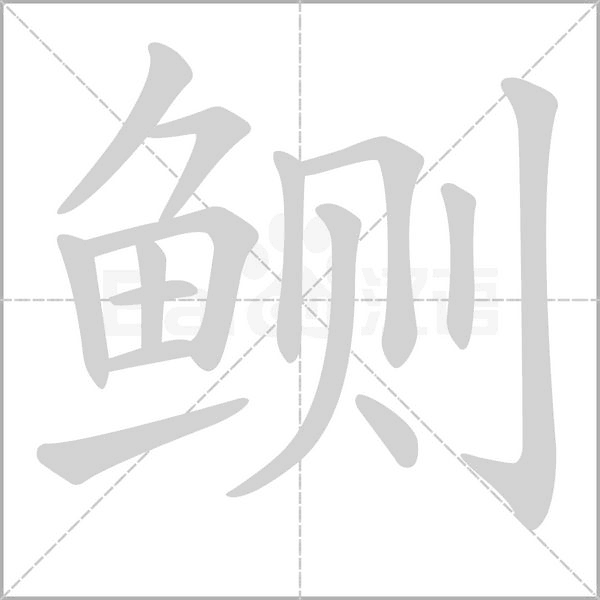 鲗的筆順動(dòng)畫演示